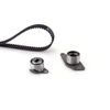 Image du produit pour Kit de distribution PowerGrip®