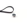 Image du produit pour Kit de distribution PowerGrip®