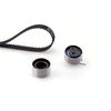 Image du produit pour Kit de distribution PowerGrip®