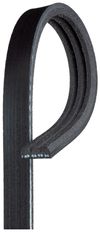 Image du produit pour Courroie trapézoïdale à nervures Micro-V®