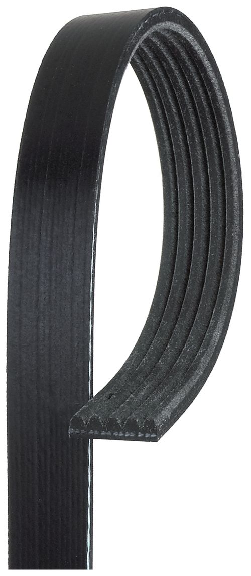 Image du produit pour Courroie trapézoïdale à nervures