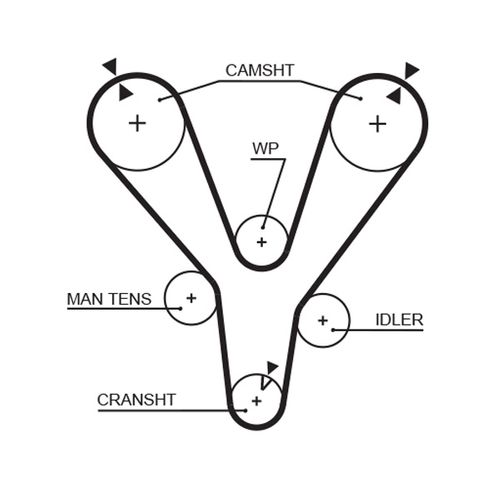 Image du produit pour Pompe à eau + kit de courroie de distribution