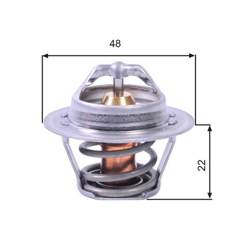 Image du produit pour Thermostat, liqiuide de refroidissement