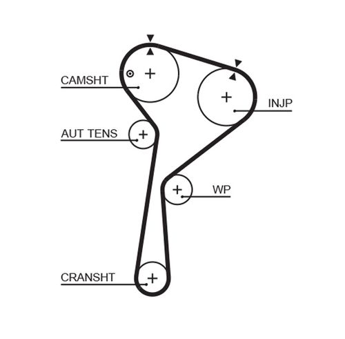 Image du produit pour Courroie crantée PowerGrip®