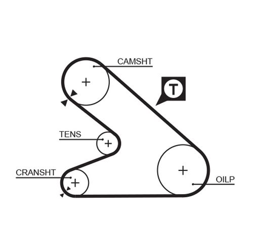 Image du produit pour Courroie crantée PowerGrip®