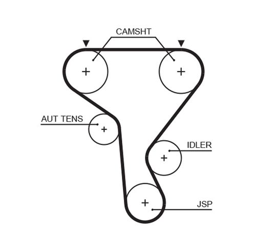 Image du produit pour Courroie crantée PowerGrip®