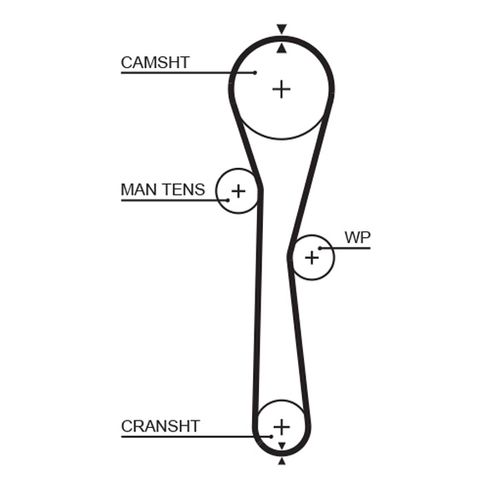 Image du produit pour Courroie crantée PowerGrip®