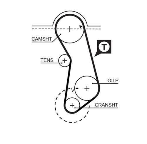 Image du produit pour Courroie crantée PowerGrip®