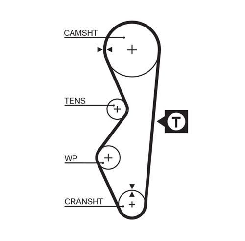Image du produit pour Courroie crantée PowerGrip®