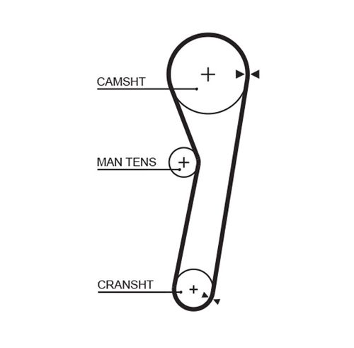 Image du produit pour Courroie crantée PowerGrip®