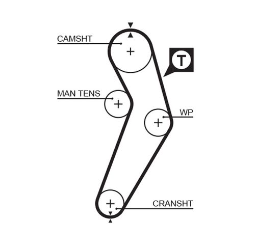 Image du produit pour Courroie crantée PowerGrip®