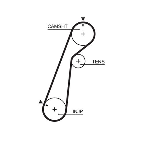 Image du produit pour Courroie crantée PowerGrip®