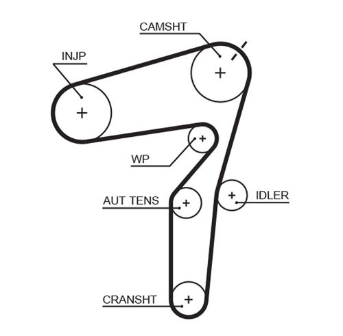 Image du produit pour Courroie crantée PowerGrip®
