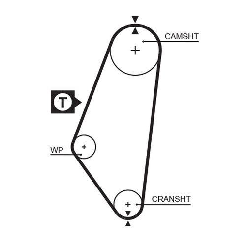 Image du produit pour Courroie crantée PowerGrip®