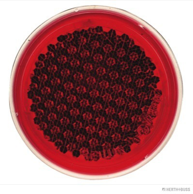 Catadioptre | HERTH+BUSS ELPARTS