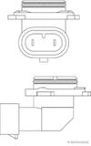 Image du produit pour Ampoule, projecteur principal