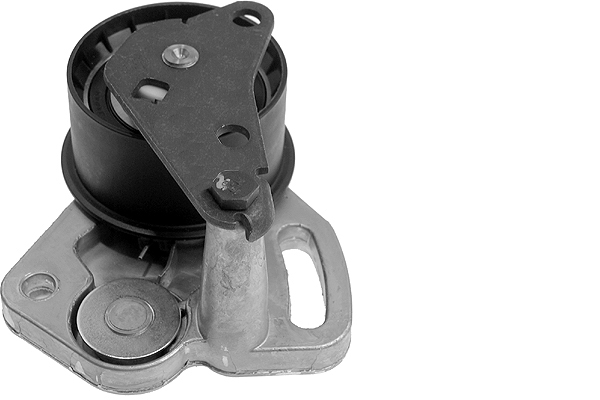 Poulie-tendeur, courroie de distribution | INA