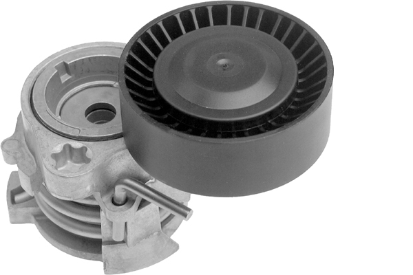 Tendeur, courroie trapézoïdale à nervures | INA