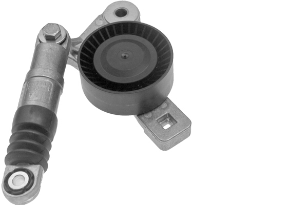 Tendeur, courroie trapézoïdale à nervures | INA