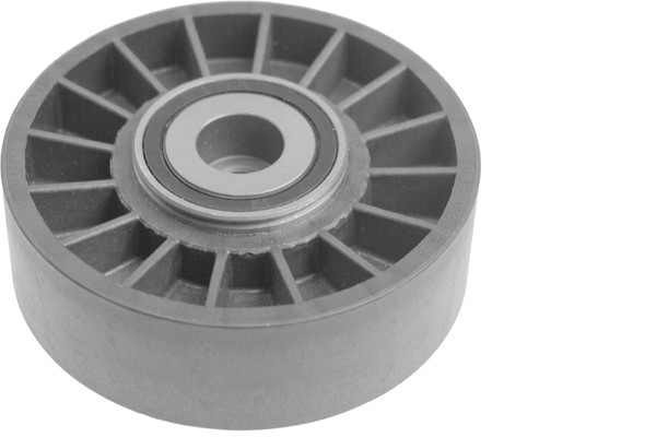 Poulie renvoi/transmission, courroie trapézoïdale à nervures | INA
