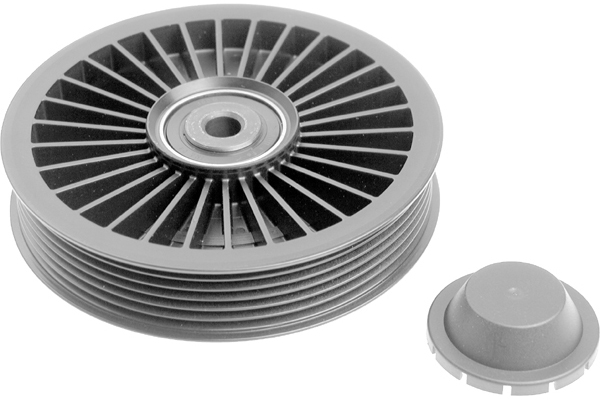 Poulie renvoi/transmission, courroie trapézoïdale à nervures | INA