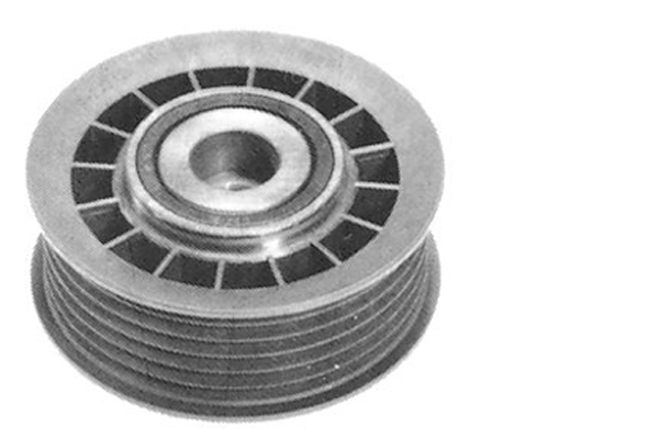 Poulie renvoi/transmission, courroie trapézoïdale à nervures | INA