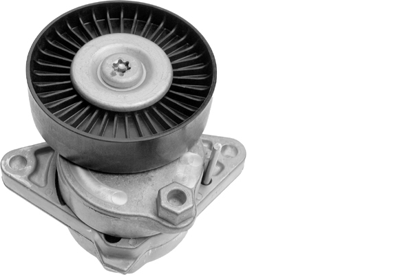 Tendeur, courroie trapézoïdale à nervures | INA