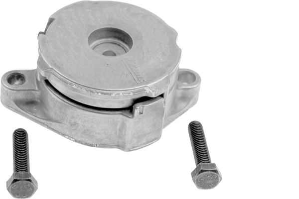 Tendeur, courroie trapézoïdale à nervures | INA