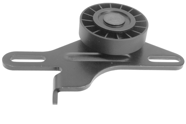 Poulie-tendeur, courroie trapézoïdale à nervures | INA