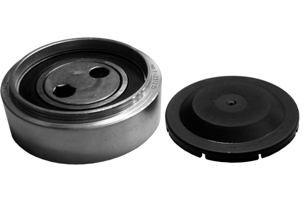 Poulie-tendeur, courroie trapézoïdale à nervures | INA