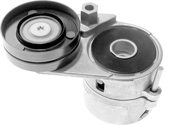 Tendeur, courroie trapézoïdale à nervures | INA