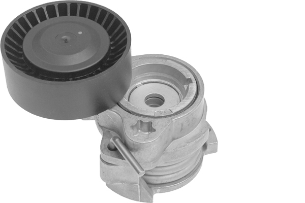 Tendeur, courroie trapézoïdale à nervures | INA