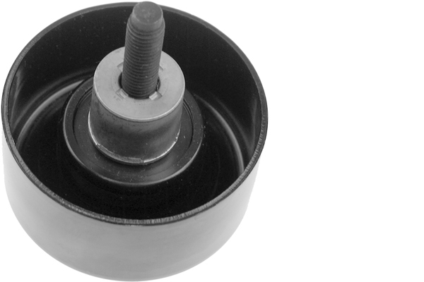 Poulie renvoi/transmission, courroie trapézoïdale à nervures | INA