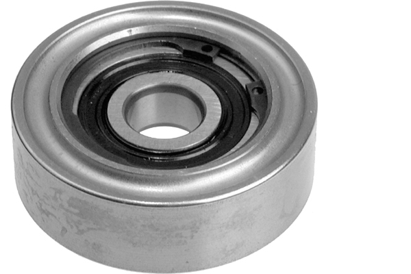 Poulie renvoi/transmission, courroie trapézoïdale à nervures | INA