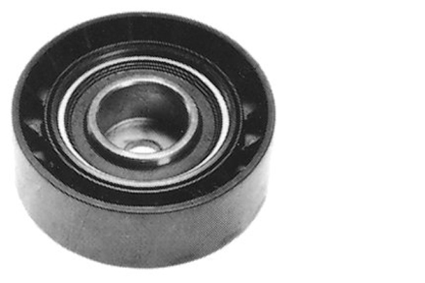 Poulie renvoi/transmission, courroie trapézoïdale à nervures | INA