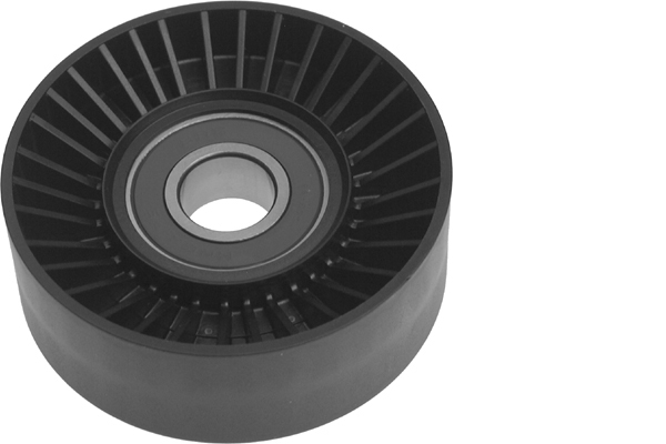 Poulie renvoi/transmission, courroie trapézoïdale à nervures | INA