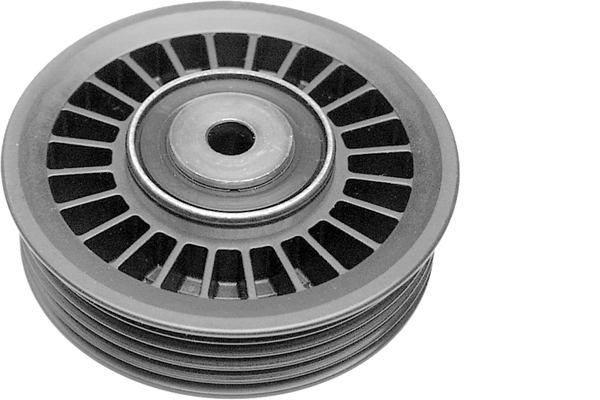Poulie renvoi/transmission, courroie trapézoïdale à nervures | INA