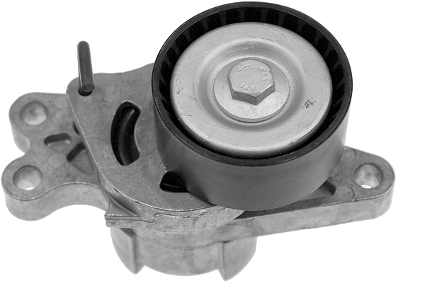 Tendeur, courroie trapézoïdale à nervures | INA