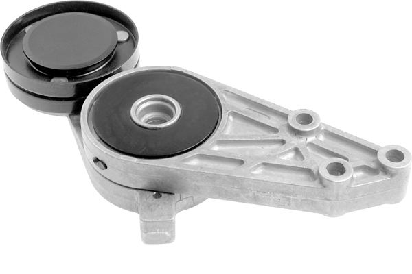 Tendeur, courroie trapézoïdale à nervures | INA