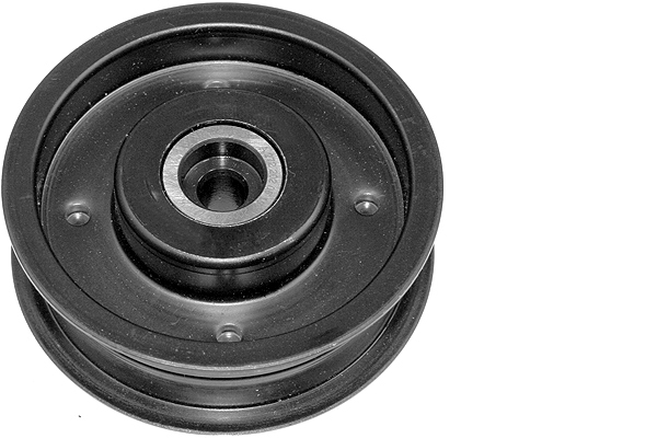 Poulie renvoi/transmission, courroie trapézoïdale à nervures | INA