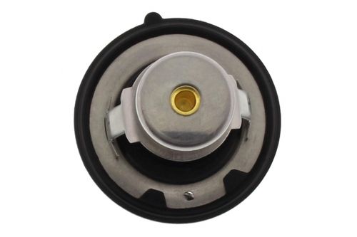 Image du produit pour Thermostat, liqiuide de refroidissement