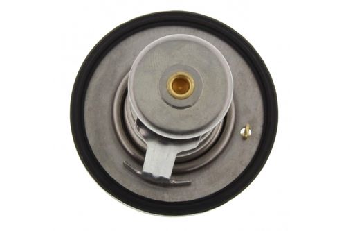 Image du produit pour Thermostat, liqiuide de refroidissement