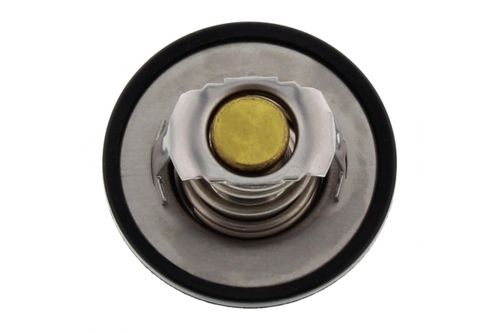 Image du produit pour Thermostat, liqiuide de refroidissement