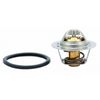 Image du produit pour Thermostat, liqiuide de refroidissement