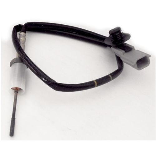 Image du produit pour Capteur, température des gaz