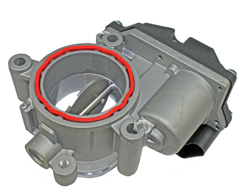 Corps papillon | METZGER