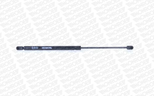 Image du produit pour Vérin de hayon, de coffre