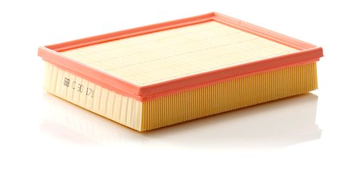 Image du produit pour Filtre à air