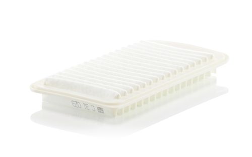 Image du produit pour Filtre à air