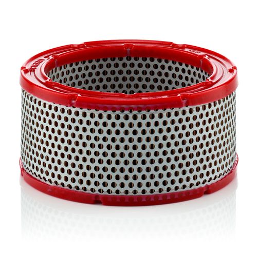 Image du produit pour Filtre à air
